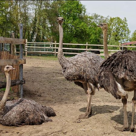 Gaestewohnung Hardinghaus Am Teich Warendorf Zewnętrze zdjęcie