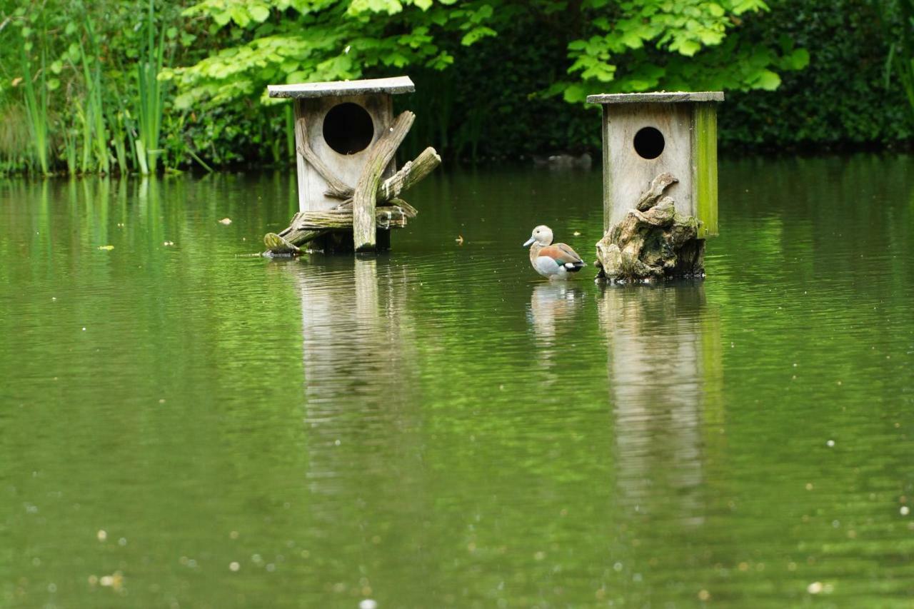 Gaestewohnung Hardinghaus Am Teich Warendorf Zewnętrze zdjęcie