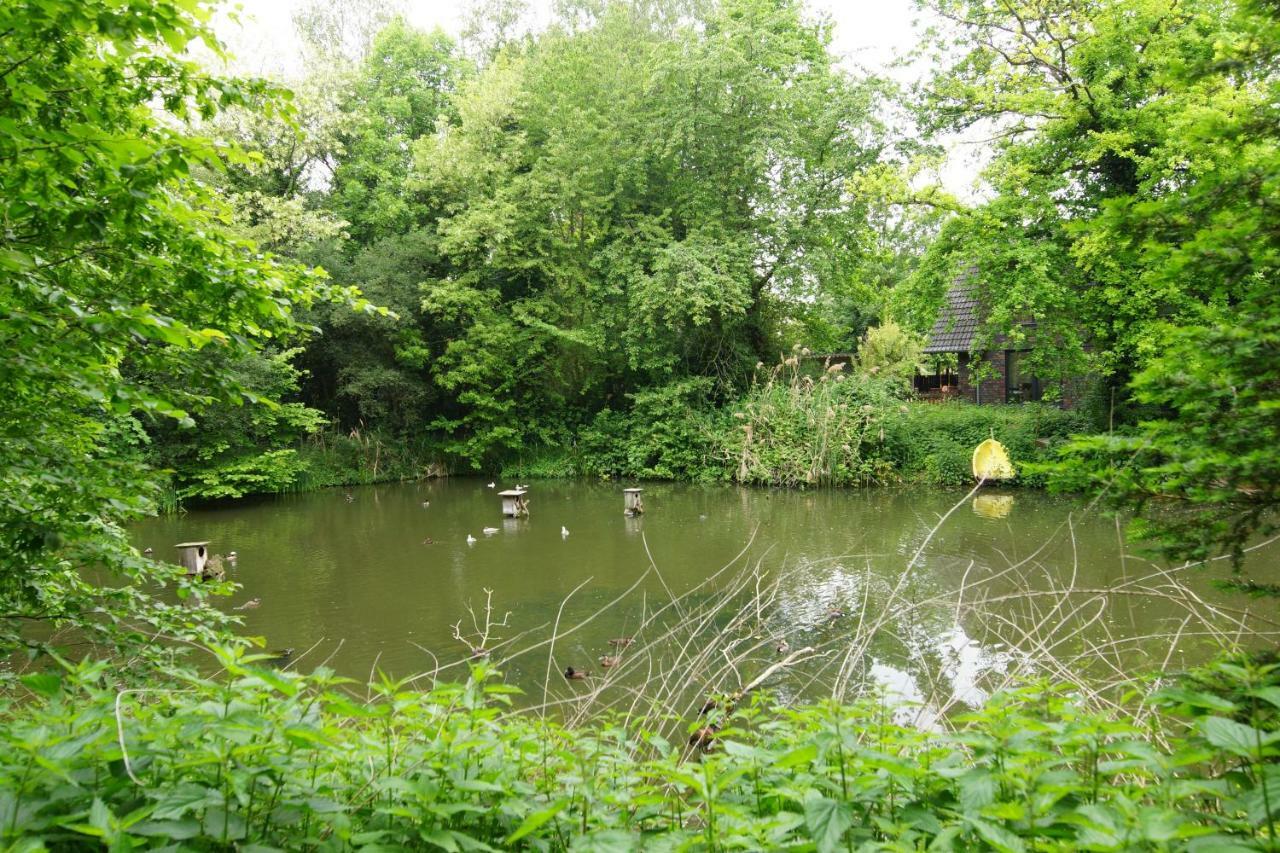 Gaestewohnung Hardinghaus Am Teich Warendorf Zewnętrze zdjęcie