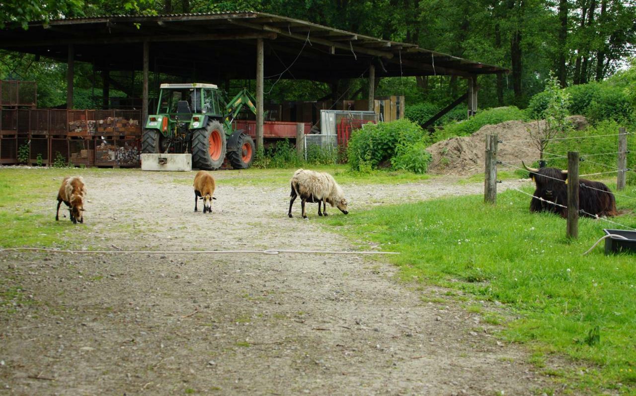 Gaestewohnung Hardinghaus Am Teich Warendorf Zewnętrze zdjęcie
